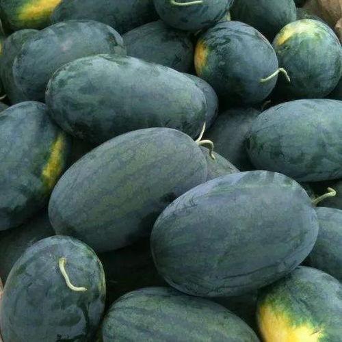 缅甸吃瓜黑料是真的吗